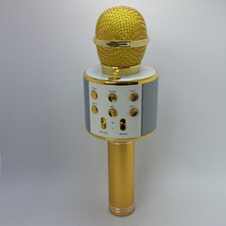 WSTER - Wireless Microphone HIFI Karaoke Speaker