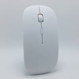 2.4G BlueSensor Wireless Mouse